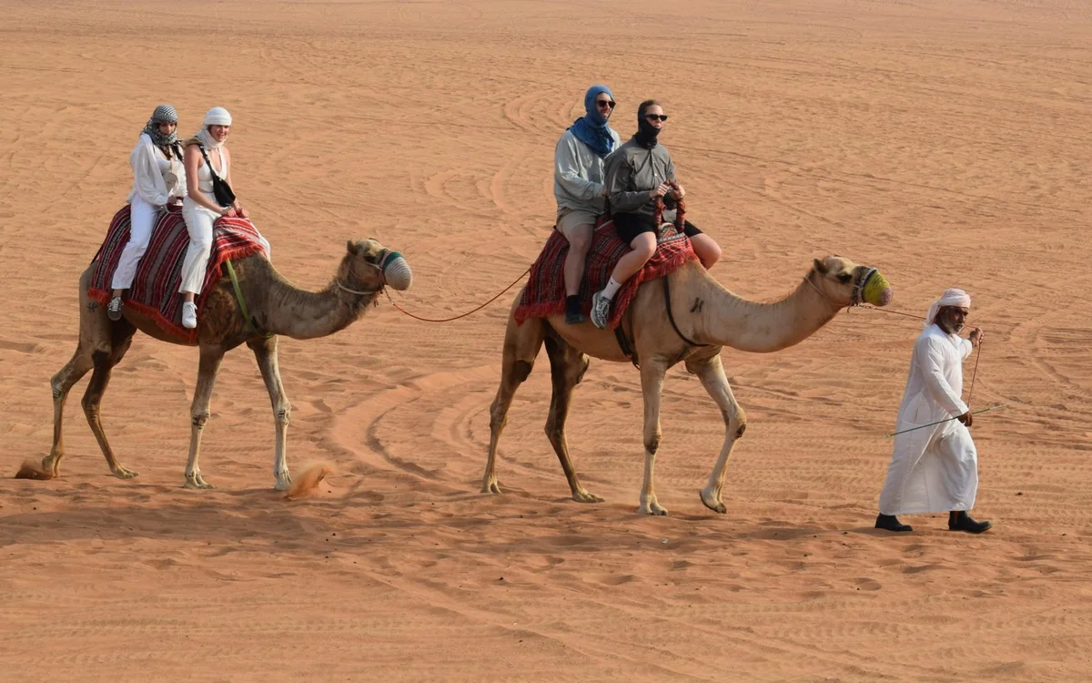 Eine Reihe Kamele läuft entlang eines roten Dünenkamms in der Wüste vor Dubai
