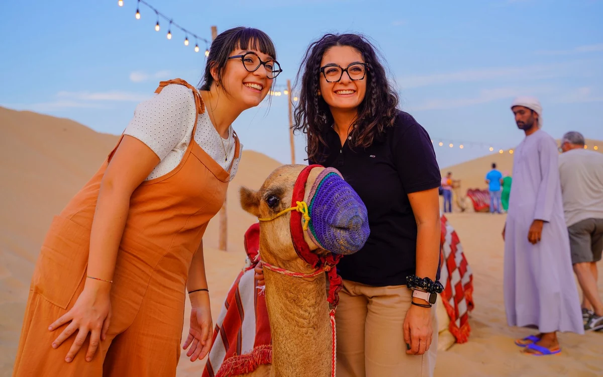 Uma fila de camelos a caminhar sobre areia aberta, afastando-se de um acampamento no deserto perto de Dubai