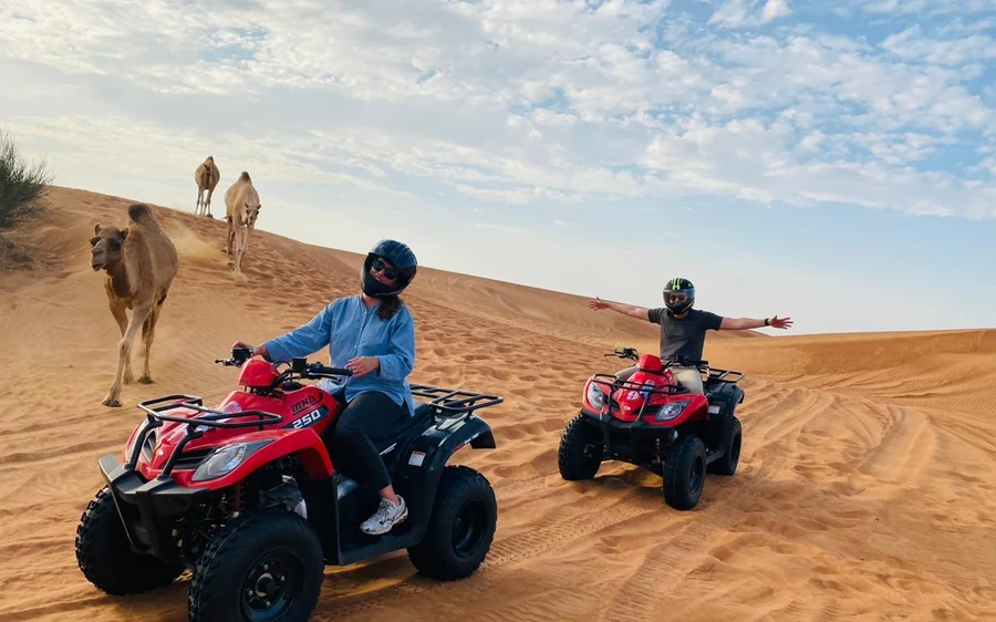 Zwei Personen auf Quads im Sand, während Kamele hinter ihnen den Kamm entlangziehen